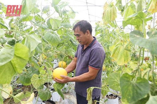 Hiệu quả từ những khu vườn mẫu