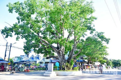 'Dấu ấn' trăm năm chùa Phật Thới Sơn