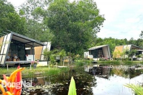 Khu du lịch sinh thái Bò Cạp Vàng có thêm hạng mục được đề cử bình chọn Top 7 Ấn tượng Việt Nam 2024