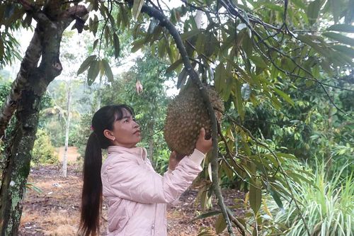 Xã Ba Cụm Nam: Nỗ lực thực hiện công tác giảm nghèo