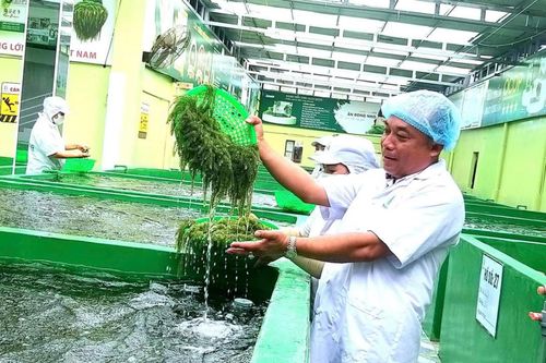Tín hiệu vui cho sản phẩm công nghiệp nông thôn