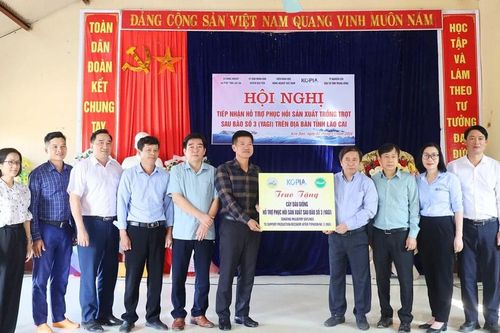 Trao 300 nghìn cây dâu giống hỗ trợ nông dân Bảo Yên phục hồi sản xuất