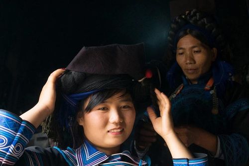 Hoa của núi