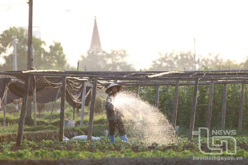 Xóm nhỏ thân thương