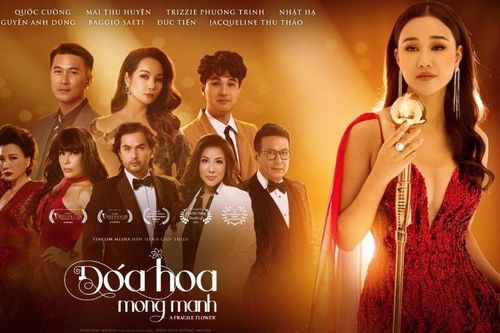 'Đóa hoa mong manh' được đón nhận nồng nhiệt tại châu Âu