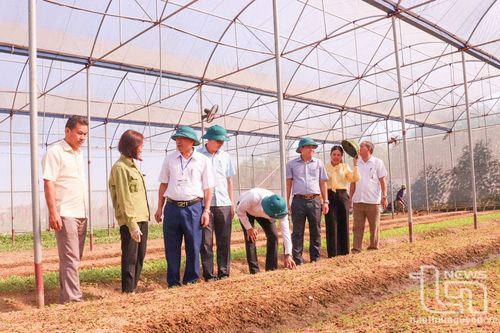Phú Bình: Thêm 2 xã đủ điều kiện trình công nhận đạt chuẩn nông thôn mới nâng cao