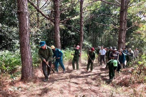 Bài 1: Vượt qua thách thức đấu tranh chống chặt phá rừng tự nhiên