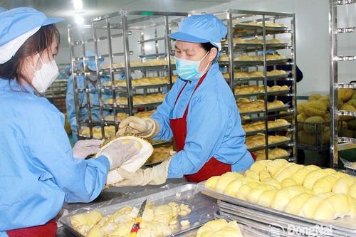 Động lực thu hút, thúc đẩy phát triển công nghiệp chế biến