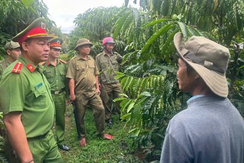 Chủ động ngăn ngừa tội phạm mùa thu hoạch cà phê ở Tây Nguyên