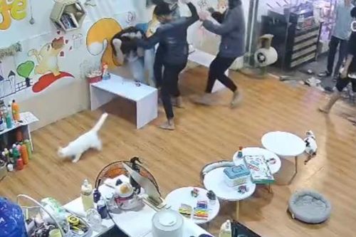 Nhắn tin chúc mừng sinh nhật bạn gái, nam sinh lớp 10 bị 'địch thủ' đánh hội đồng