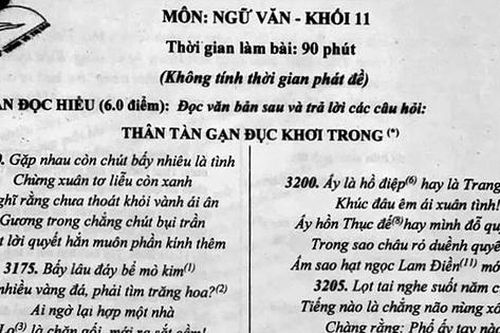 Đề kiểm tra Ngữ văn tràn 2 mặt giấy, chi chít chữ, gây 'choáng'