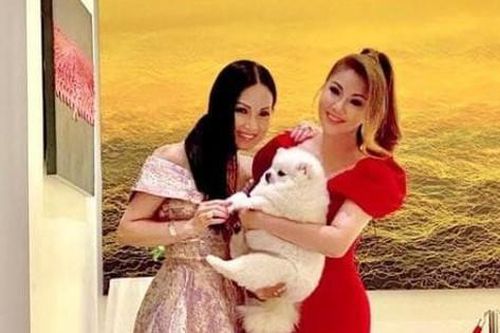 Cơ ngơi của 'ca sĩ người Việt giàu nhất thế giới' sang cỡ nào?