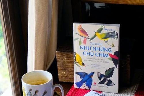 Sải cánh như những chú chim: Kể bạn nghe những bài học nhỏ xinh từ loài chim