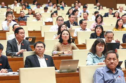 Tình trạng rừng bị thiệt hại vẫn tiếp tục xảy ra và có nguy cơ gia tăng