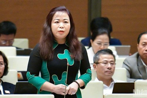 Thể chế hóa kịp thời định hướng luật chỉ quy định những vấn đề khung