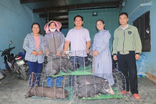 Đừng để khó bó cái khôn