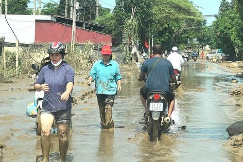 Yên Bái được hỗ trợ hơn 137 tấn hạt lúa giống