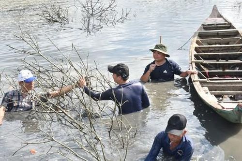 Về Đất Mũi xem nông dân dỡ chà bắt cá