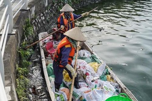 Đề xuất 'đánh tỉa' cá nguy hại để bảo vệ môi trường hồ Tây