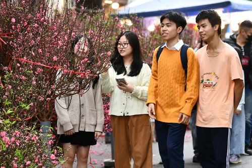 Việt Nam có dân số đứng thứ mấy thế giới?