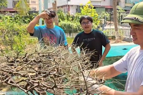 NSND Xuân Bắc khoe kỹ năng làm vườn, hai con nói một câu không ai ngờ