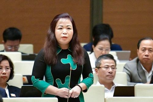 Luật chỉ quy định những vấn đề khung là định hướng đúng đắn và phù hợp với thông lệ quốc tế