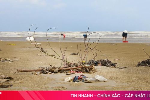 Rác thải 'bủa vây' bờ biển Kỳ Ninh