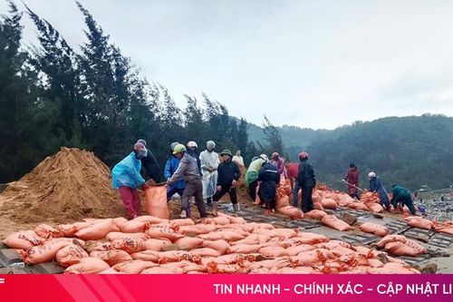 Cần có phương án xử lý dứt điểm tình trạng sụt lún kè biển ở Lộc Hà