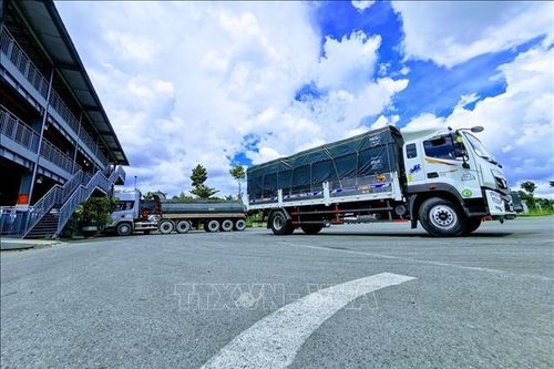Thí điểm cân tải trọng tự động: Giảm vi phạm 90%