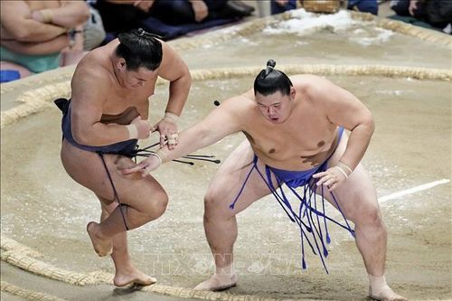 Sự hồi sinh mạnh mẽ của Sumo tại Nhật Bản