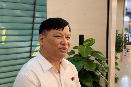 Đại biểu Quốc hội: Cần những giải pháp mạnh mẽ, quyết liệt để đạt mục tiêu tăng trưởng kinh tế