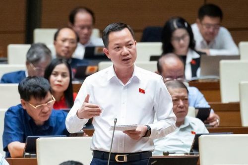 Nhiều 'anh cả đỏ', 'sếu đầu đàn' đang rất cần được cởi trói
