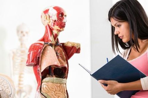 Khoa học tìm ra cách nhấn nút 'tạm dừng' đối với sự sống con người