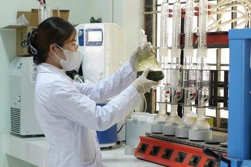 Chữa lành vết thương nhờ băng gạc y tế lục bình