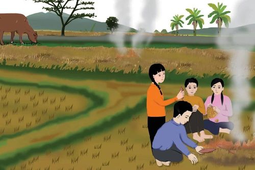 Tản mạn với trời đông