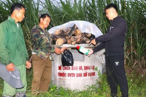 Kbang chú trọng gìn giữ, bảo vệ môi trường