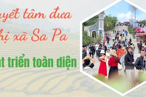 Quyết tâm đưa thị xã Sa Pa phát triển toàn diện