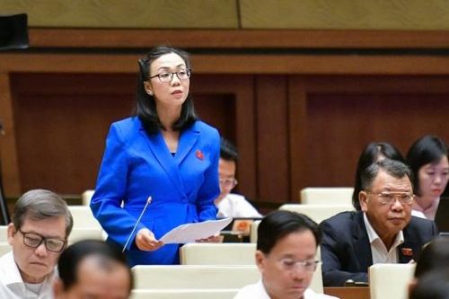Đại biểu Trịnh Thị Tú Anh: Việt Nam có cơ hội lớn để thành điểm đến hàng đầu trong chuỗi cung ứng bán dẫn toàn cầu