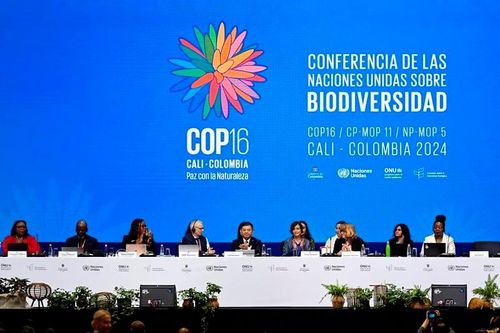 COP16: Bất đồng chưa thể vượt qua