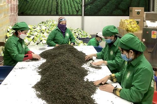 Động lực thúc đẩy đổi mới, phát triển kinh tế tập thể