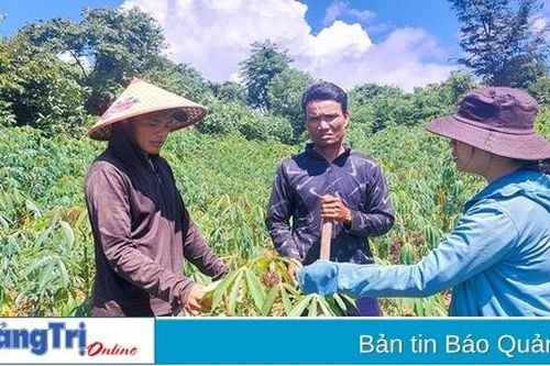 Tân Thành nỗ lực hoàn thành các tiêu chí nông thôn mới bị giảm