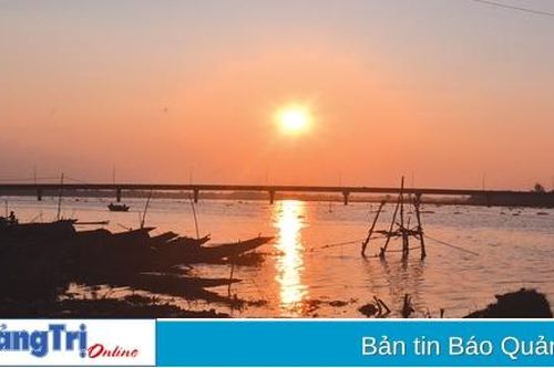 Trồng rừng ngập mặn cải thiện môi trường sinh thái