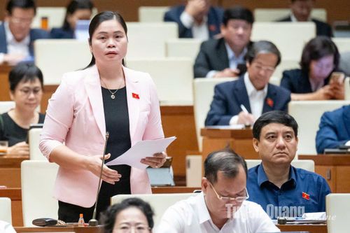 Phó Trưởng đoàn chuyên trách Đoàn ĐBQH tỉnh Ma Thị Thúy: Cần đổi mới công tác giảm nghèo để khơi dậy ý chí vươn lên thoát nghèo của người dân