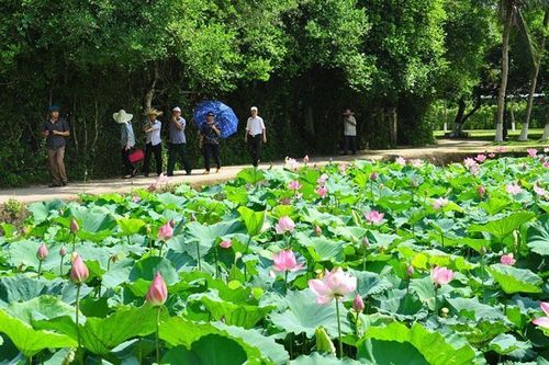 Khám phá Nghệ An - Nơi hội tụ văn hóa, thiên nhiên và ẩm thực