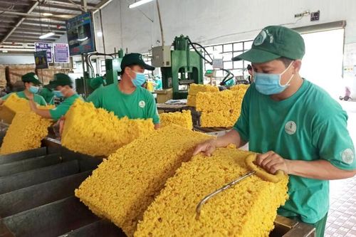Hưởng lợi giá mủ cao su tăng, Cao su Việt Nam (GVR) báo lãi quý 3 cao gấp đôi