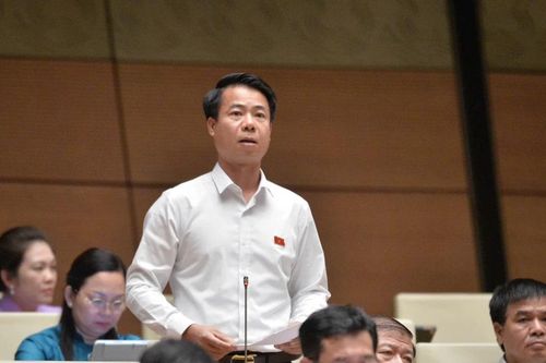 Bố trí đủ nguồn lực khắc phục các khu vực nguy cơ sạt lở cao
