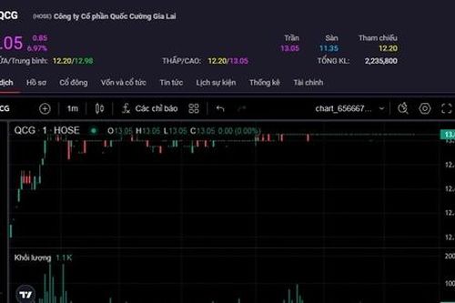 Cổ phiếu QCG vẫn lên 'đỉnh' bất chấp VN-Index 'đỏ lửa'