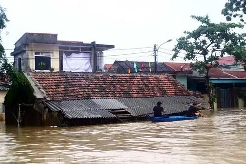 Nhiều nông dân Quảng Bình trắng tay sau lũ
