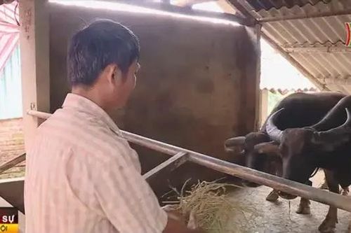 Tỷ lệ hộ nghèo vùng dân tộc thiểu số chỉ còn 0,38%