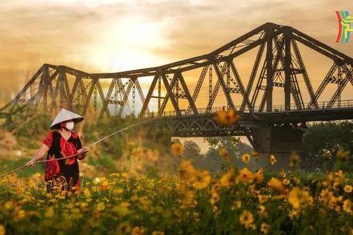 Bờ vở sông Hồng 'thay áo mới'